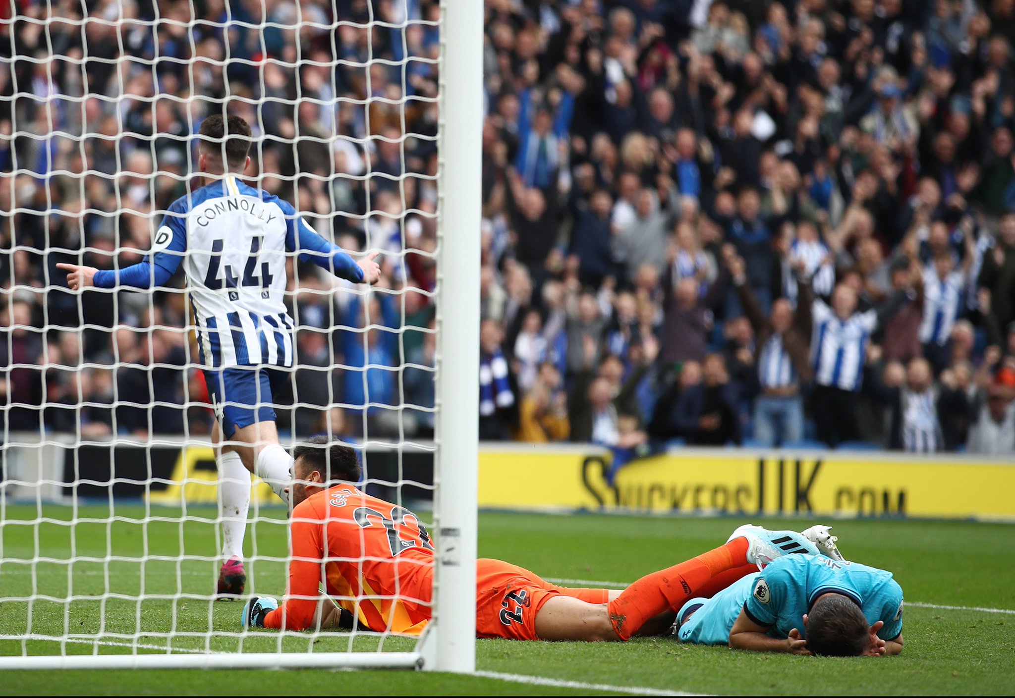 更是信心的 更是信心的